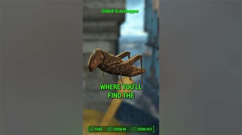 fallout 4 the gilded grasshopper|Iba pa.